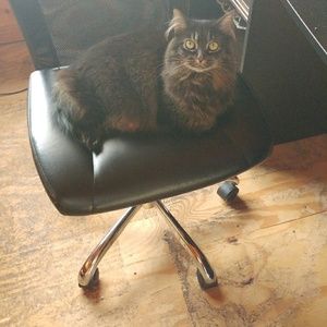 Meet your Posher, Kami